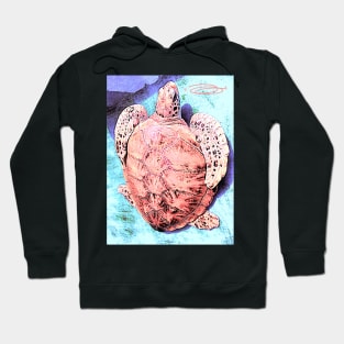 Shell Should Protect! Hoodie